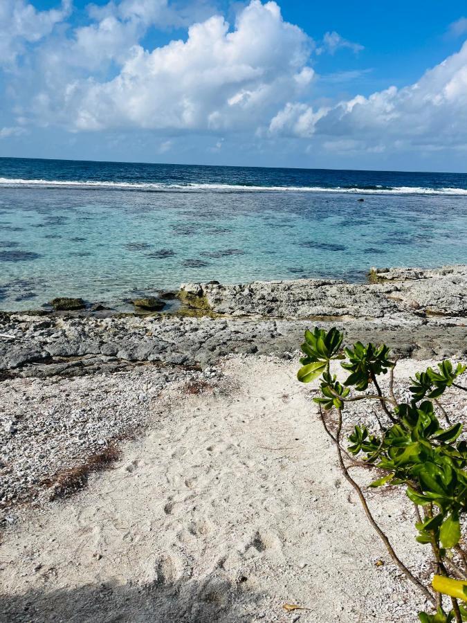Bungalow Kura Moorea Kültér fotó