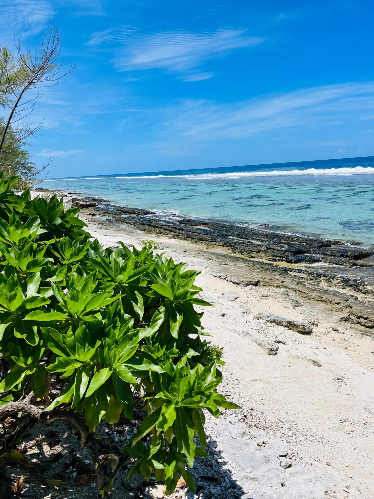 Bungalow Kura Moorea Kültér fotó
